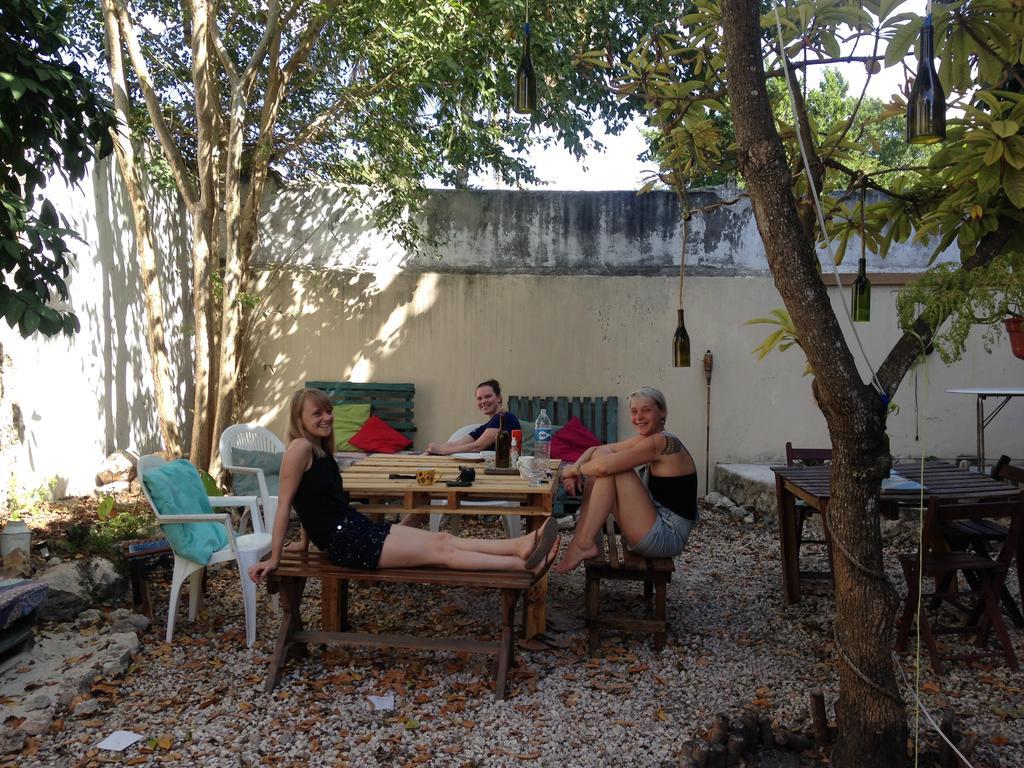 Akasha Hostel Mérida Exteriér fotografie
